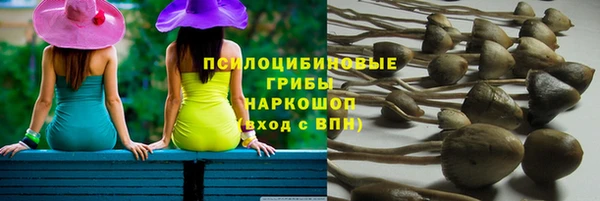 спиды Волосово