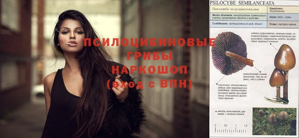 ГАЛЛЮЦИНОГЕННЫЕ ГРИБЫ Волоколамск