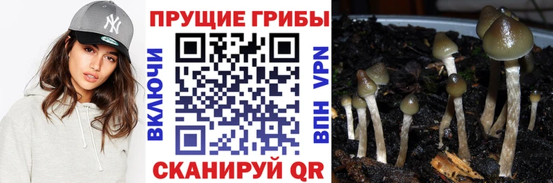 Купить  Гагарин  Галлюциногенные грибы ЛСД 